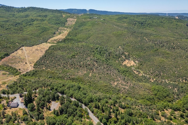 Frisby Rd, Round Mountain, CA 96084 - photo 5
