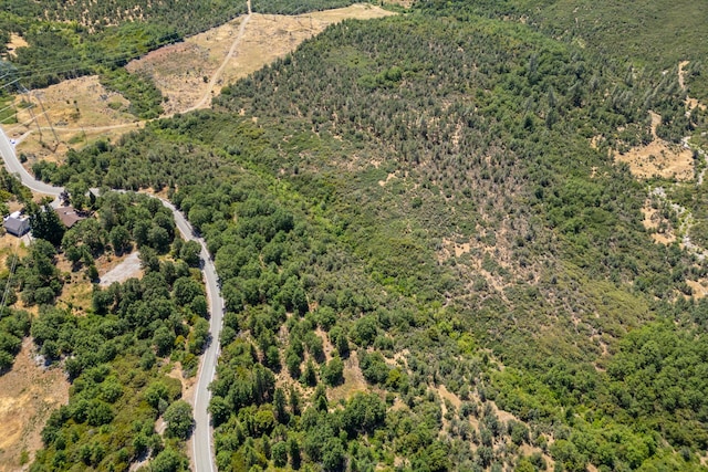 Frisby Rd, Round Mountain, CA 96084 - photo 6