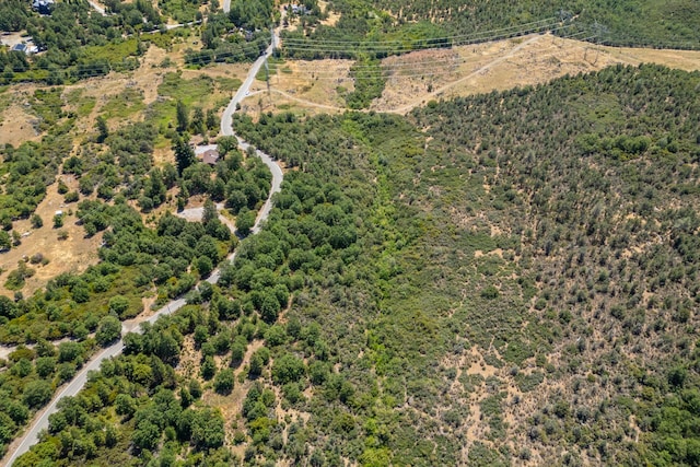 Frisby Rd, Round Mountain, CA 96084 - photo 7