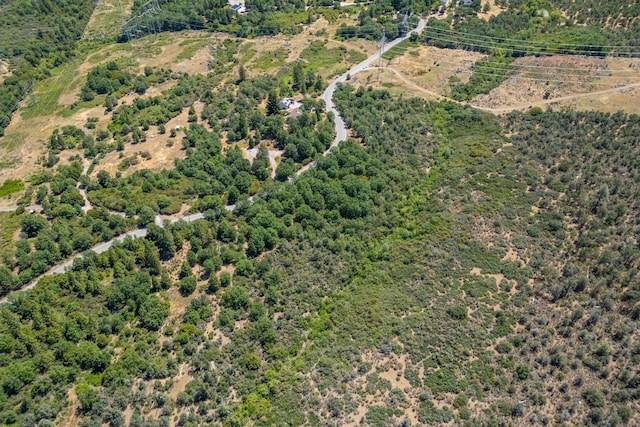 Frisby Rd, Round Mountain, CA 96084 - photo 8