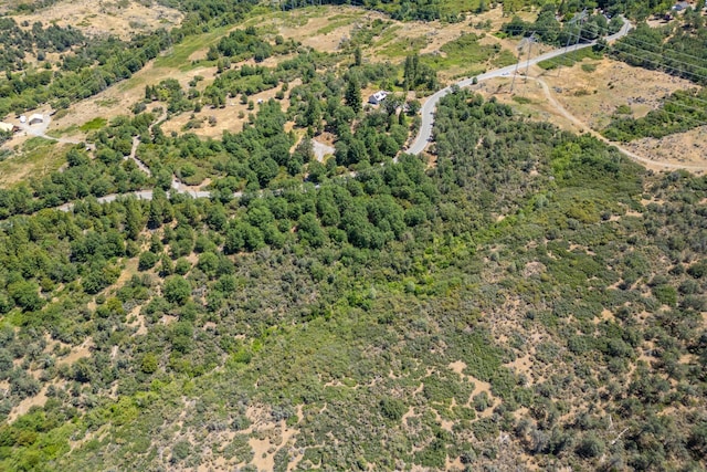 Frisby Rd, Round Mountain, CA 96084 - photo 9