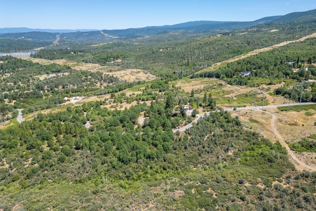 Frisby Rd, Round Mountain, CA 96084 - photo 11