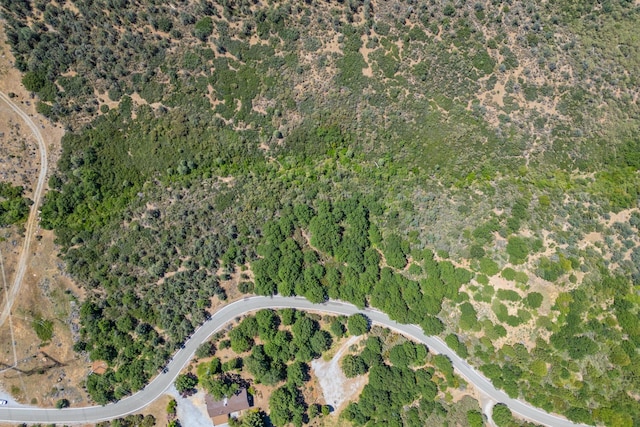Frisby Rd, Round Mountain, CA 96084 - photo 12
