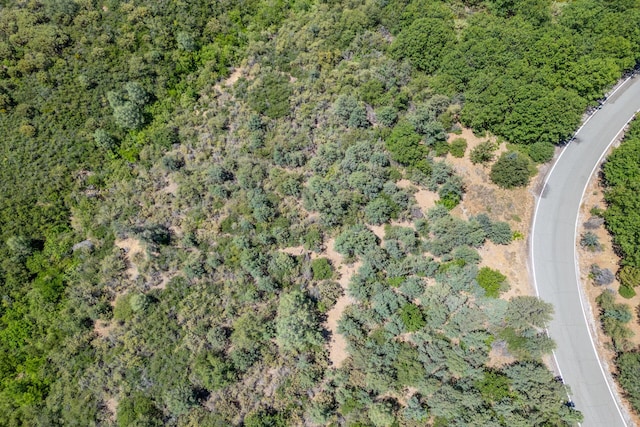 Frisby Rd, Round Mountain, CA 96084 - photo 13