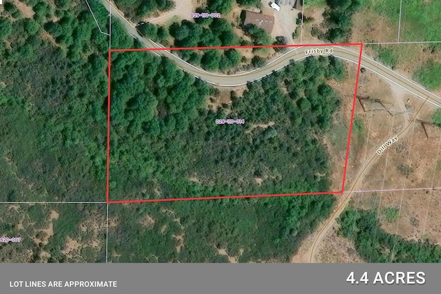 Frisby Rd, Round Mountain, CA 96084 - photo 14