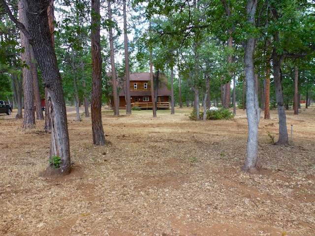 29119 Day Rd, Mcarthur, CA 96056 - view of yard
