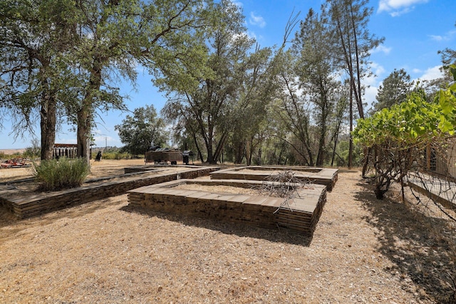6949 Rector Creek Rd, Igo, CA 96047 - view of yard