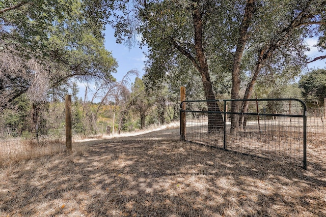 6949 Rector Creek Rd, Igo, CA 96047 - view of gate