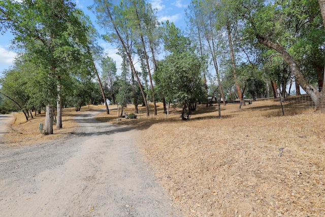 6949 Rector Creek Rd, Igo, CA 96047 - view of dirt / gravel road