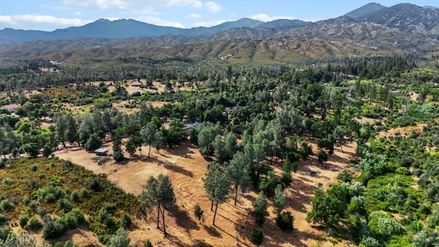 6949 Rector Creek Rd, Igo, CA 96047 - view of mountain backdrop