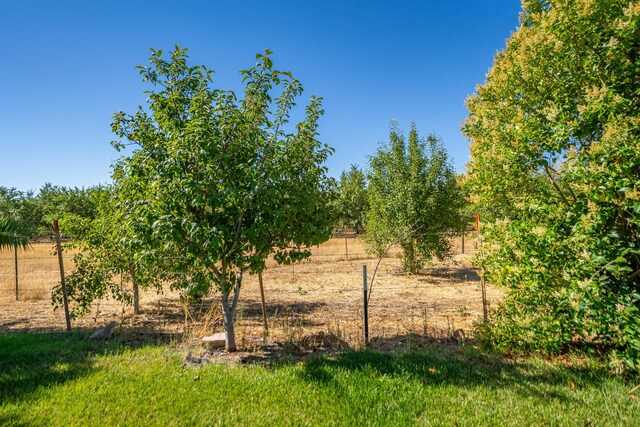 22709 Rodeo Ave, Gerber, CA 96035 - photo 107