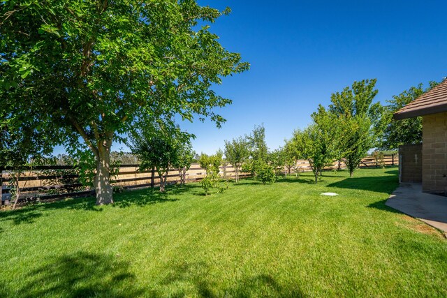 22709 Rodeo Ave, Gerber, CA 96035 - photo 108