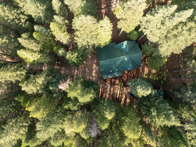 8637 Savannah Way, Shingletown, CA 96088 - aerial view of property's location