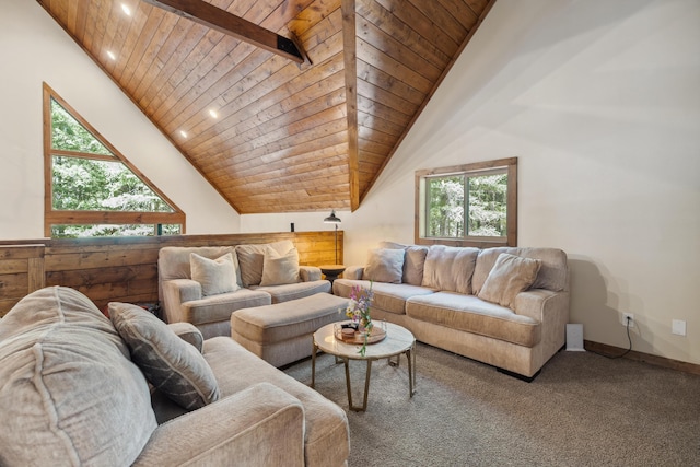 8637 Savannah Way, Shingletown, CA 96088 - carpeted living room featuring wood ceiling and recessed lighting