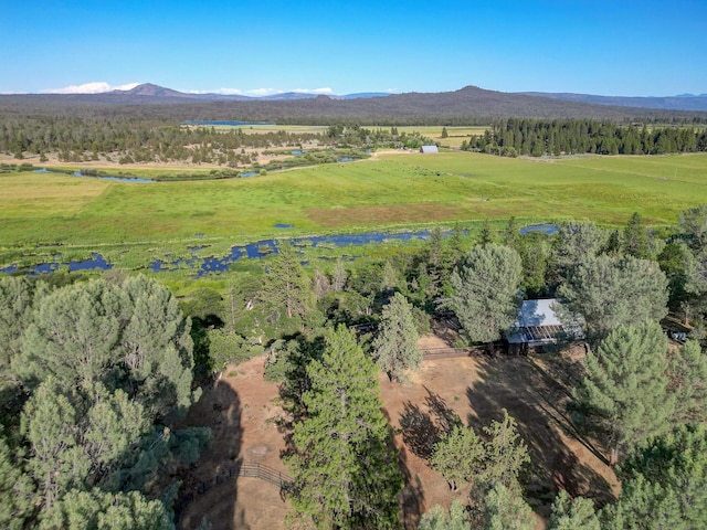 21151 Ridge Rd, Cassel, CA 96016 - photo 7