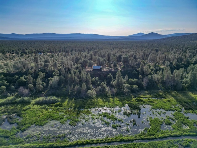 21151 Ridge Rd, Cassel, CA 96016 - photo 8