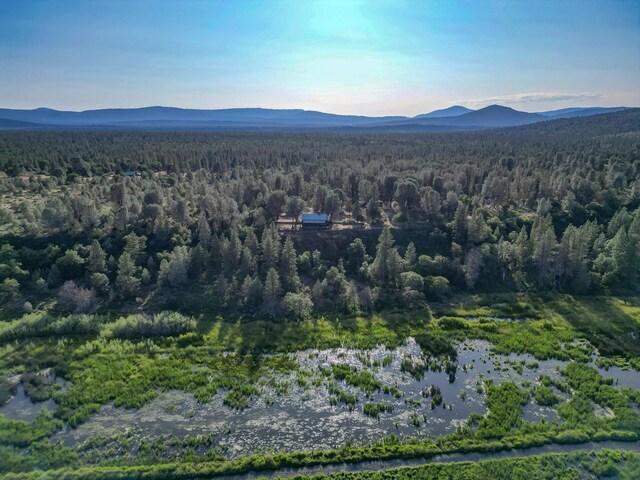 21151 Ridge Rd, Cassel, CA 96016 - photo 54