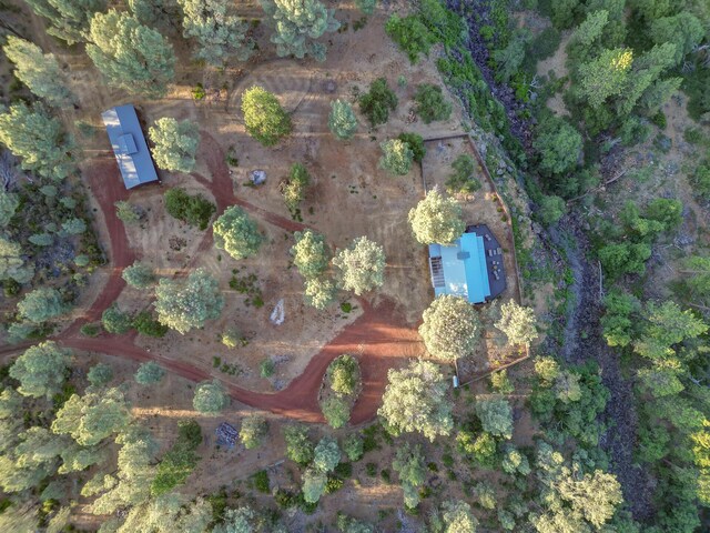 21151 Ridge Rd, Cassel, CA 96016 - photo 56