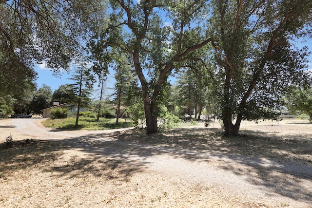 20822 Clough Creek Rd, Redding, CA 96002 - view of dirt / gravel road