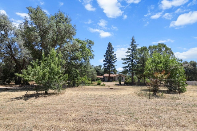 20822 Clough Creek Rd, Redding, CA 96002 - view of yard