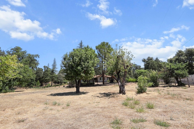 20822 Clough Creek Rd, Redding, CA 96002 - view of yard