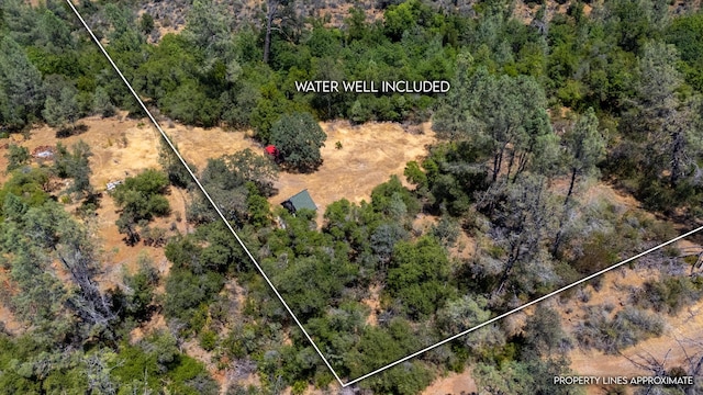 27010 Lack Creek Dr, Shingletown, CA 96088 - photo 3