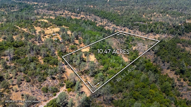 27010 Lack Creek Dr, Shingletown, CA 96088 - photo 1