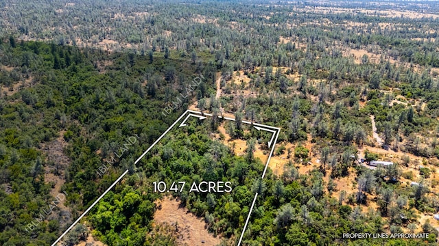 27010 Lack Creek Dr, Shingletown, CA 96088 - photo 5