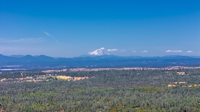 27010 Lack Creek Dr, Shingletown, CA 96088 - photo 6
