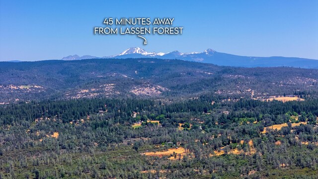 27010 Lack Creek Dr, Shingletown, CA 96088 - photo 7