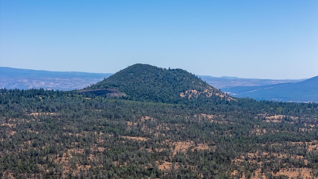 27010 Lack Creek Dr, Shingletown, CA 96088 - photo 8