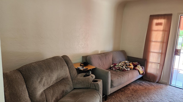 1310 Olive St, Redding, CA 96001 - sitting room featuring carpet, a textured wall, and healthy amount of natural light