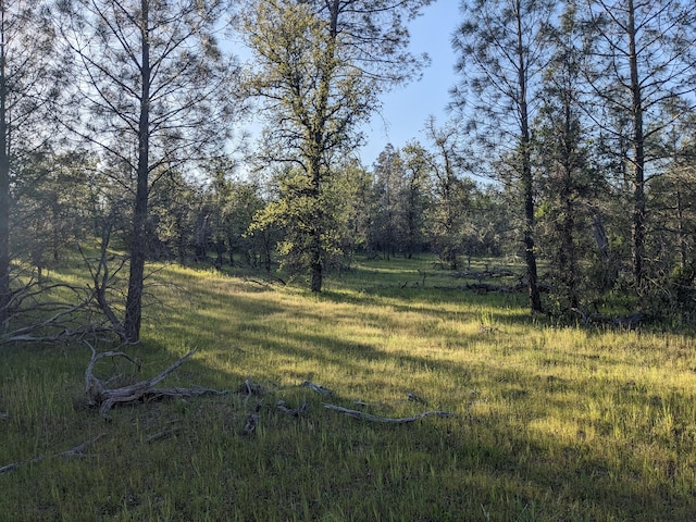 LOT8 Neal Ln, Redding, CA 96003 - photo 2