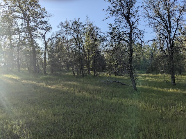 LOT8 Neal Ln, Redding, CA 96003 - photo 4