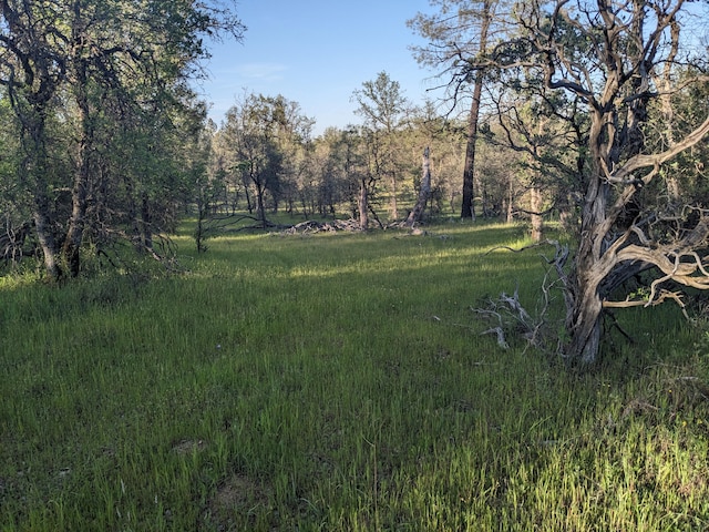 LOT8 Neal Ln, Redding, CA 96003 - photo 5
