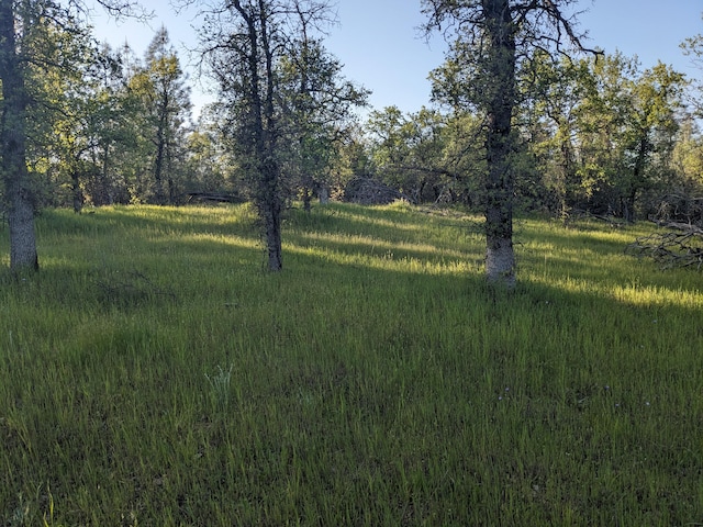 LOT8 Neal Ln, Redding, CA 96003 - photo 1