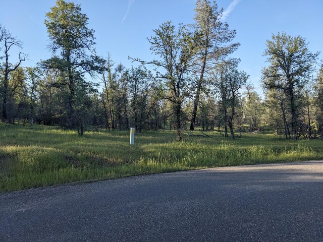 LOT8 Neal Ln, Redding, CA 96003 - photo 6