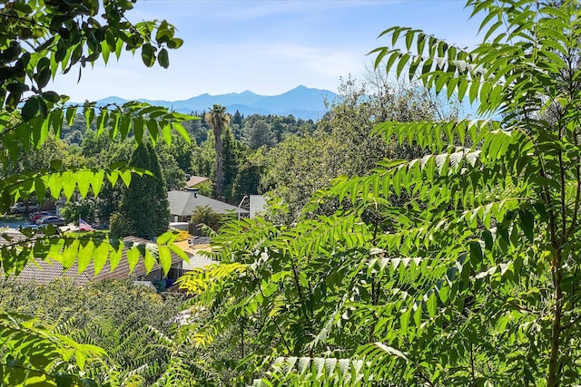 3728 Sunwood Dr, Redding, CA 96002 - photo 25