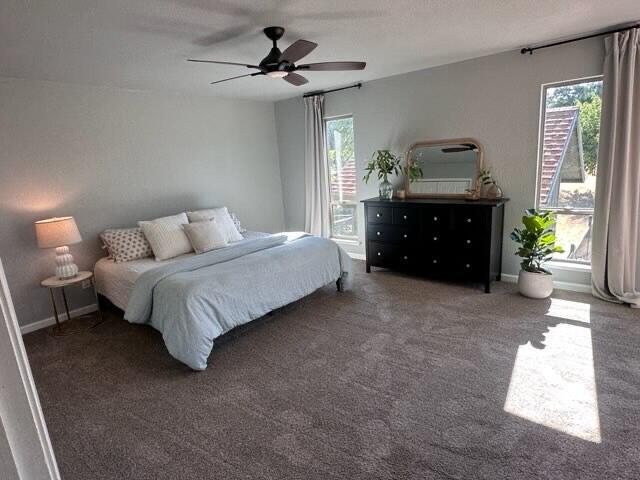 8928 Olney Park Dr, Redding, CA 96001 - photo 53