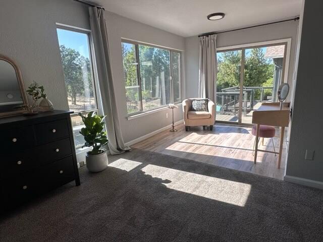 8928 Olney Park Dr, Redding, CA 96001 - photo 57