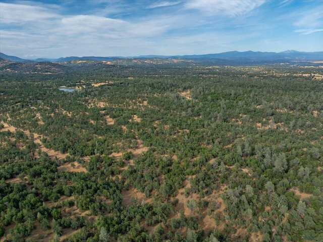 Mylindas Way, Redding, CA 96003 - photo 13