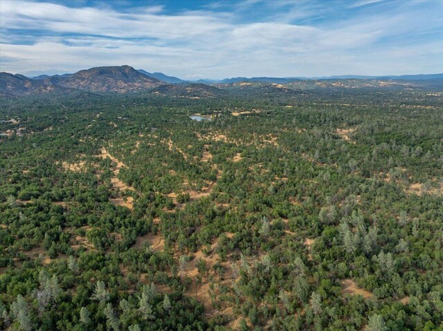 Mylindas Way, Redding, CA 96003 - photo 15
