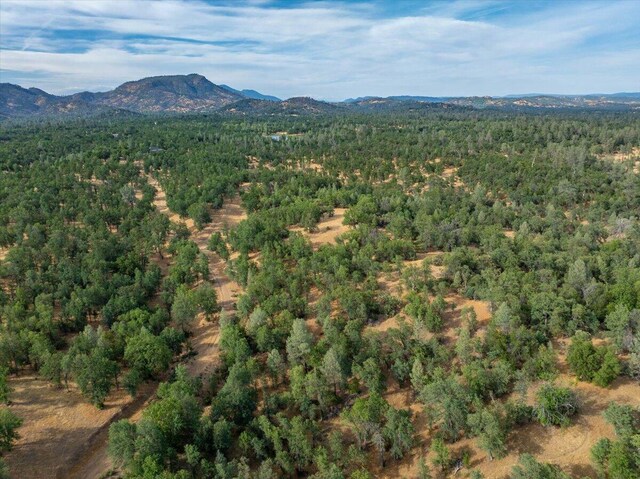 Mylindas Way, Redding, CA 96003 - photo 9