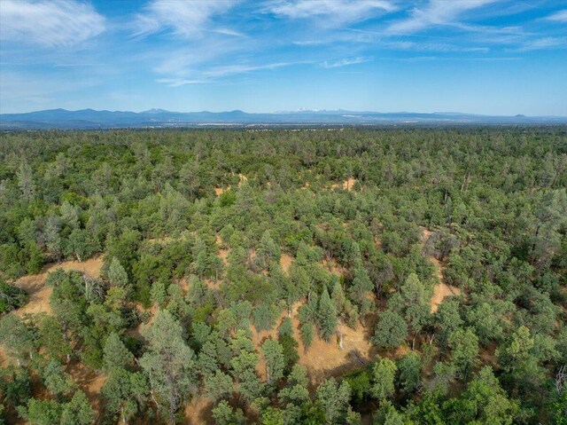 Mylindas Way, Redding, CA 96003 - photo 10