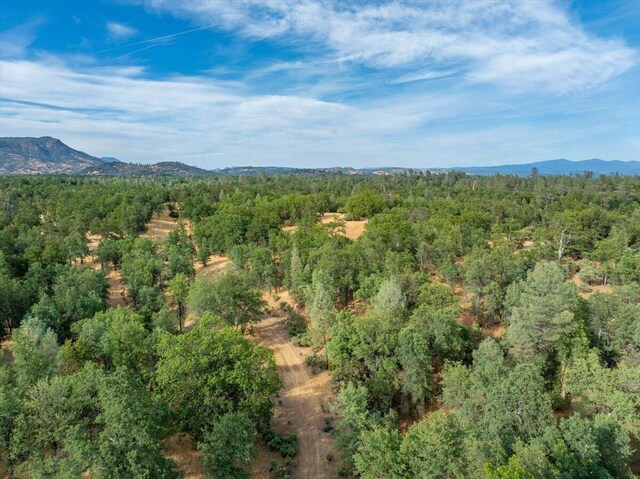 Mylindas Way, Redding, CA 96003 - photo 5