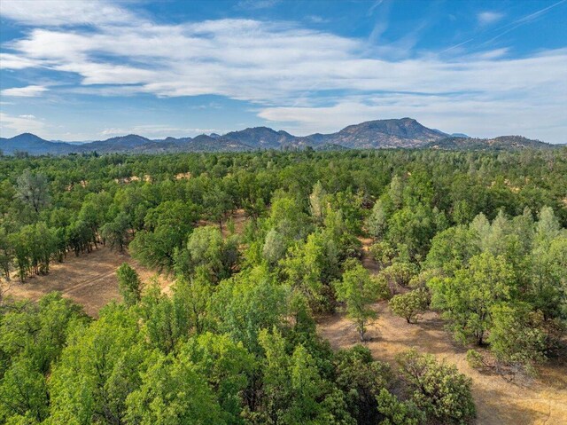 Mylindas Way, Redding, CA 96003 - photo 2
