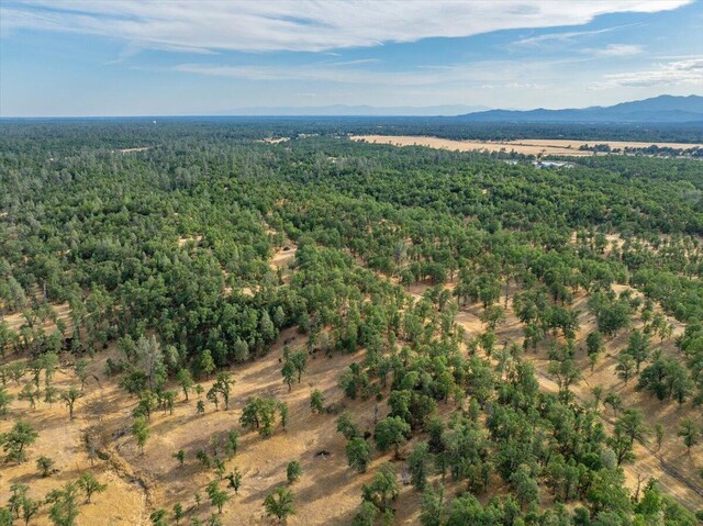 Mylindas Way, Redding, CA 96003 - photo 7