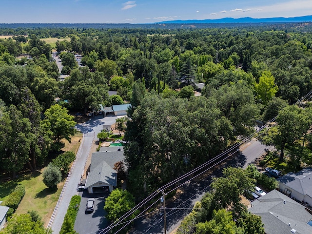 3385 Pioneer Ln, Redding, CA 96001 - aerial view of a forest