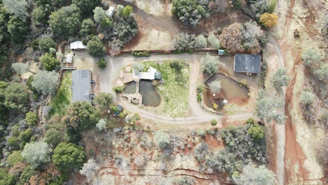 4806 Wilson Hill Rd, Manton, CA 96059 - photo 31