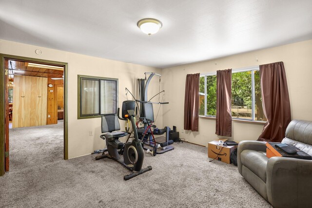 7611 Arbor Ln, Shingletown, CA 96088 - photo 3